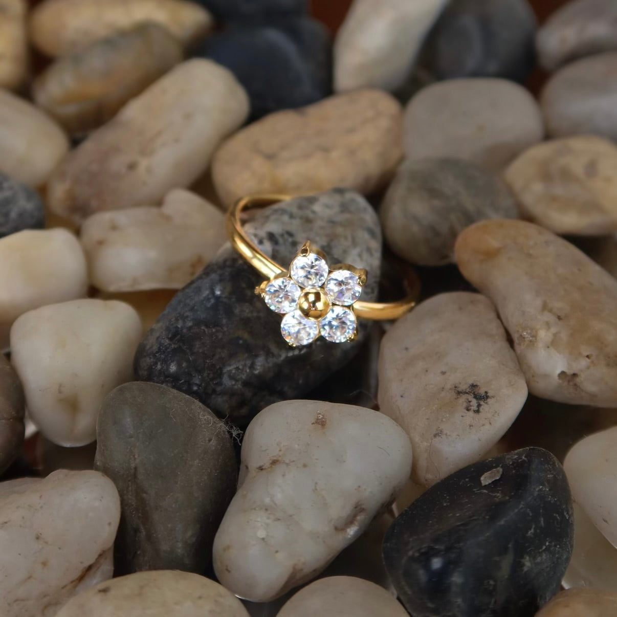 Karim Ring